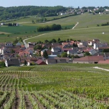 Appartamento La Longere De Vin'Ay Vinay  Esterno foto