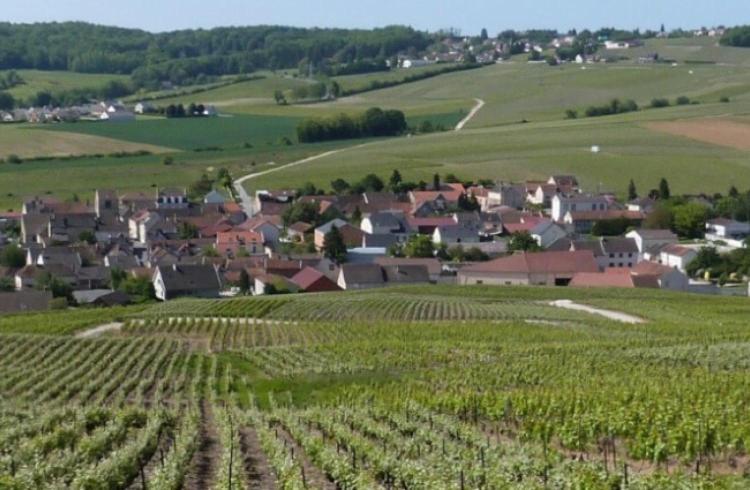 Appartamento La Longere De Vin'Ay Vinay  Esterno foto
